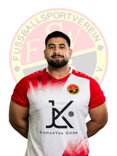 Adnan Abdel-Ghani