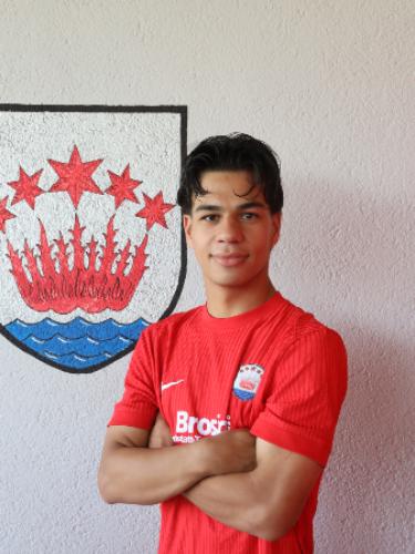 Jonas Mendes Gomes
