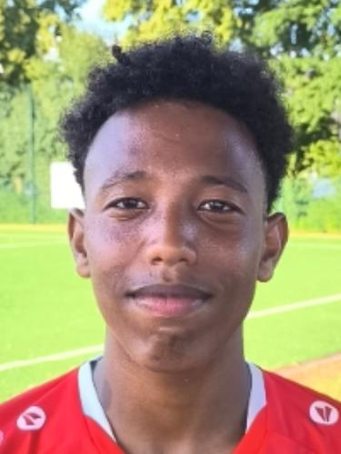 Henok Teklemichael Okubagergish