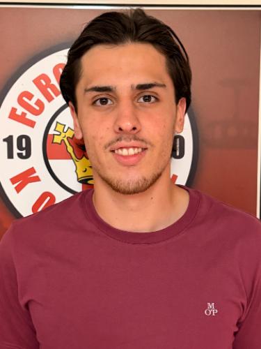 Franjo Serdarusic