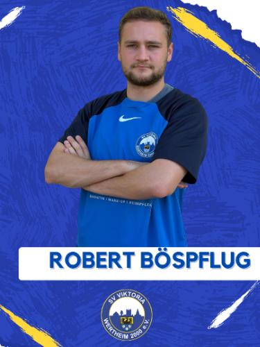 Robert Böspflug