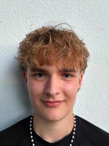 Luis von den Hoff