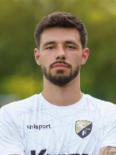 Nico Wermann