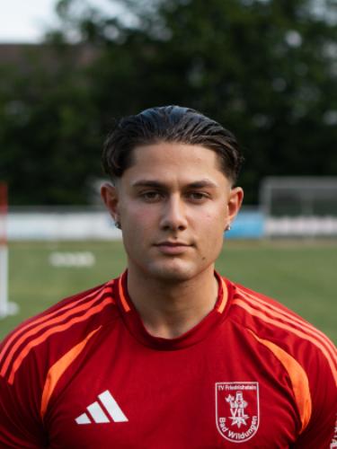 Mehmet Agirgoel