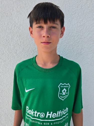 Nikola Mitrovic