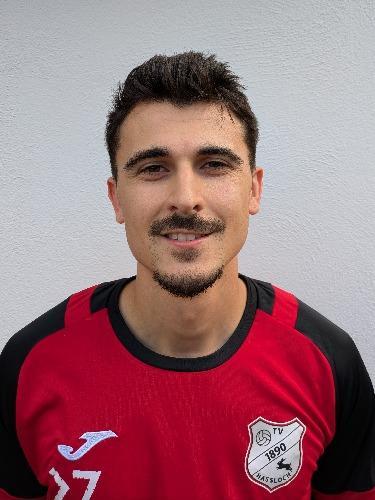 Miquel Alves Ribeiro