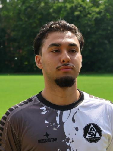 Parsa Rafiei Ashiani
