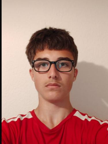 Alessandro Voicu