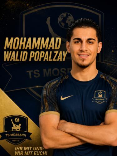 Mohammad Walid Popalzay