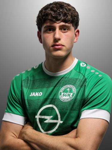 Flavio Noah Holzapfel