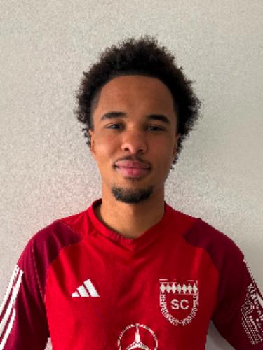 Lukas Karim Leidemann