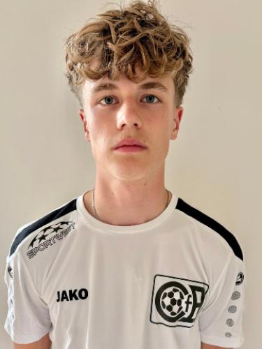 Mika Johannes Christian Wolke