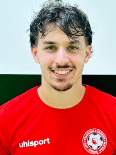 Tarik Hadzic