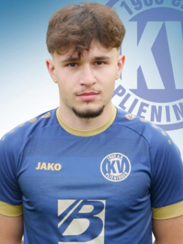 Sani Hajdinagic