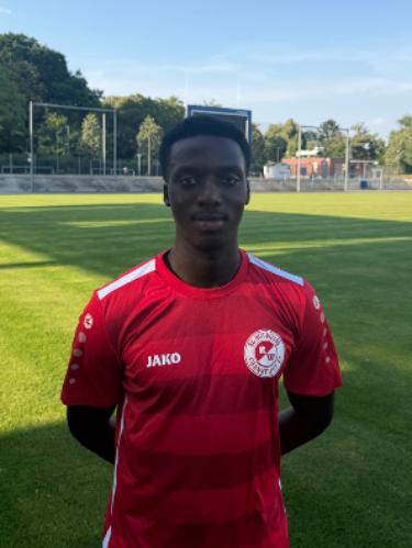 Mohamed Lamin Sanneh Dampha