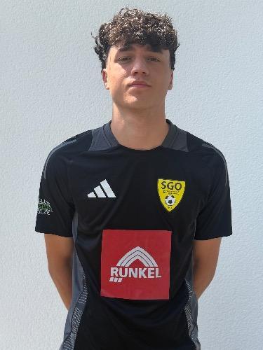 Mehdi Hodroj