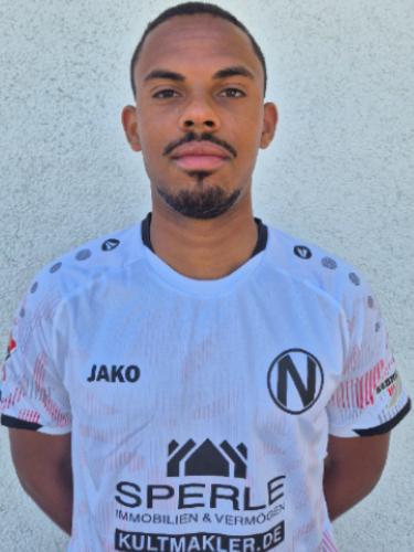 Nill Hauser