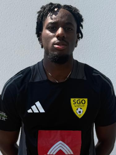 Raymond Ehigiator Osawe Desmond