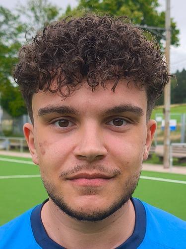 Asim Hadzic