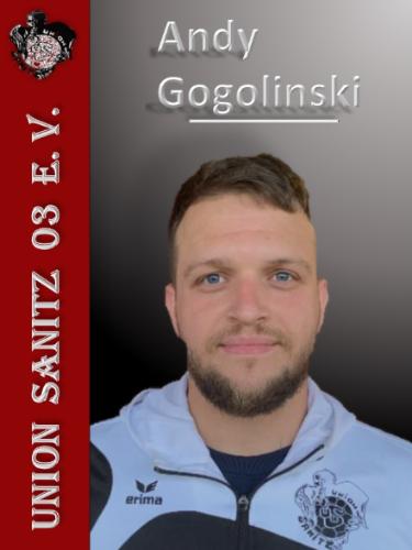Andy Gogolinski
