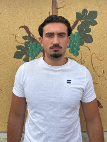 Baldassar Nikolic