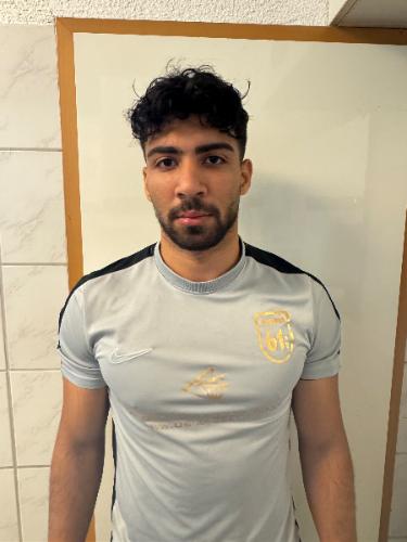 Ahmed Arafat Mahmoud
