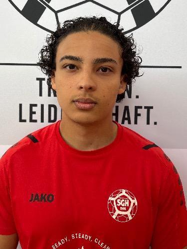 Fabian Scholtes