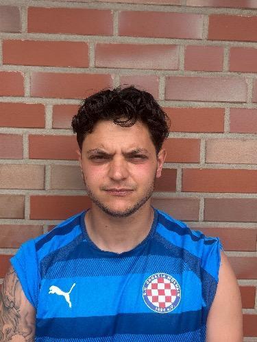 Domenico Giudice
