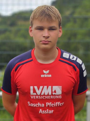 Julius Lippich