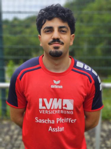 Narcis Valentin Argesanu