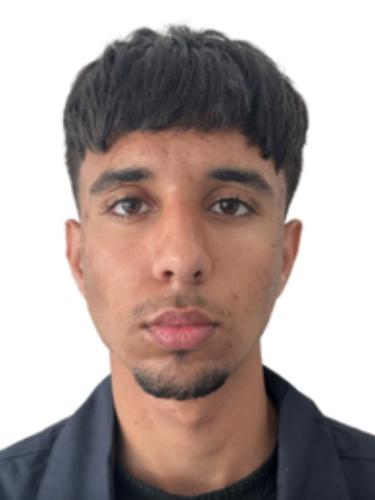 Mohammad Yahia Hafizi