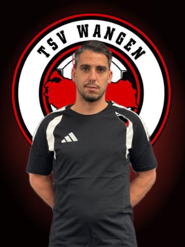 Cristiano Manuel Costa Correia