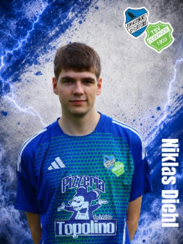 Niklas Diehl