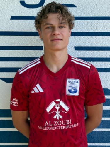 Dominik Liess