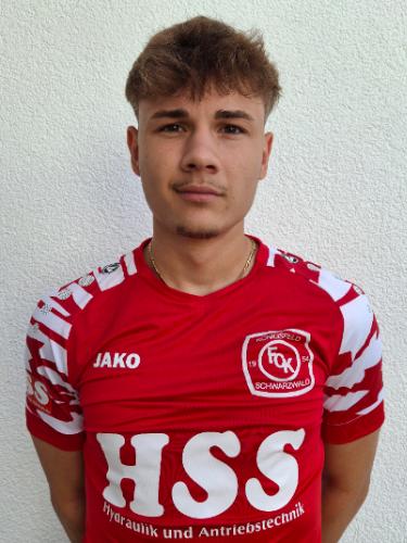 Luis Milinovic