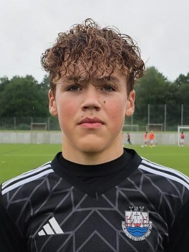Willi Luiz Sandström