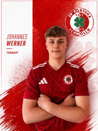 Johannes Werner