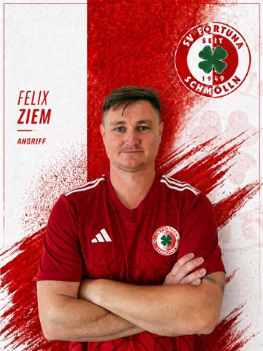Felix Ziem