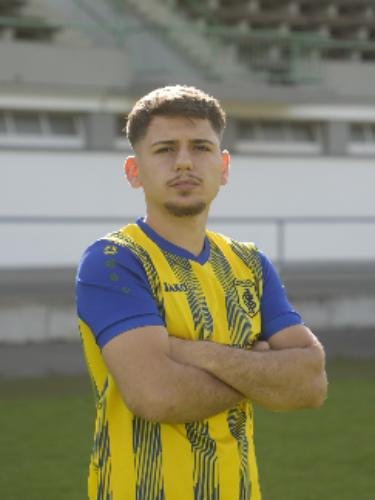 Agonis Gashi