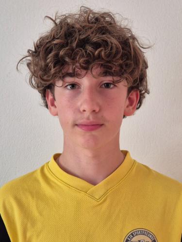 Mattis Volmering