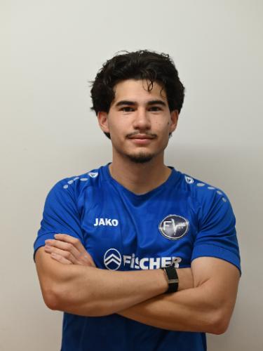 Dennis Rudi Striekert
