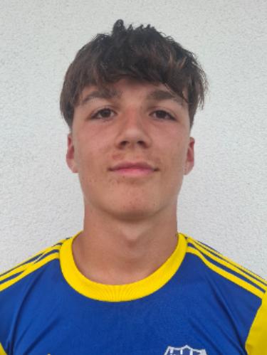 Matteo Motscha
