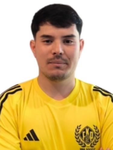 Morteza Ahmadi