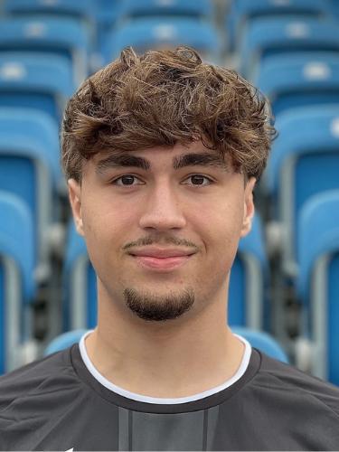Nico van Gameren