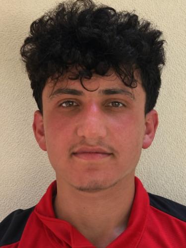 Mohammad Alsharaa