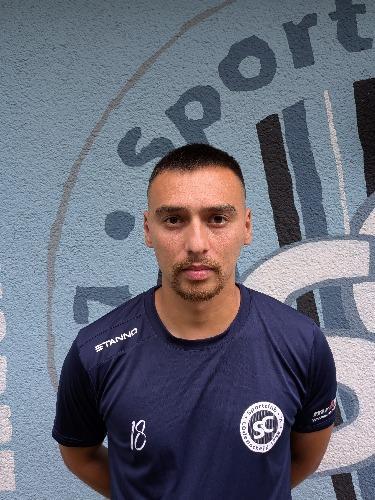 Roman Klukowski
