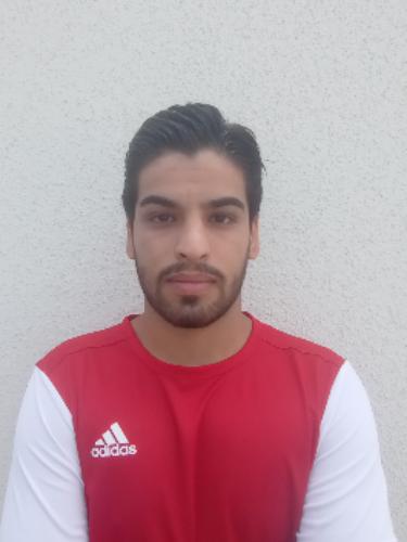Amirhosein Zamani
