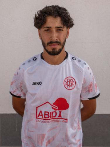 Michel Davud