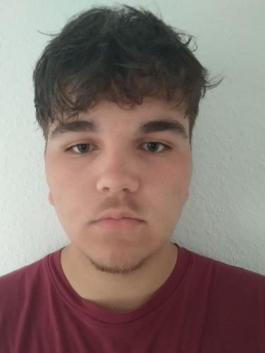 Ben Luca Grunberg