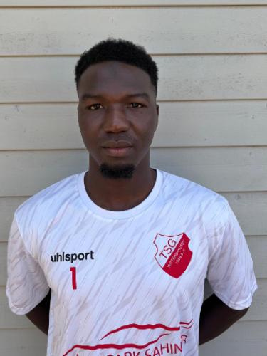 Sedia Sanneh